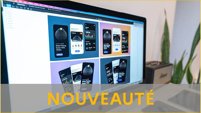 Titre Professionnel Concepteur Designer UI